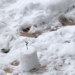 Meet your Posher, Anike